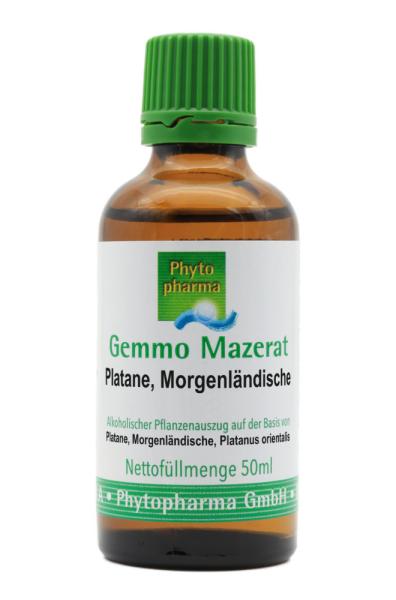 Gemmo Mazerat Platane, Morgenländische (Platanus orientalis)